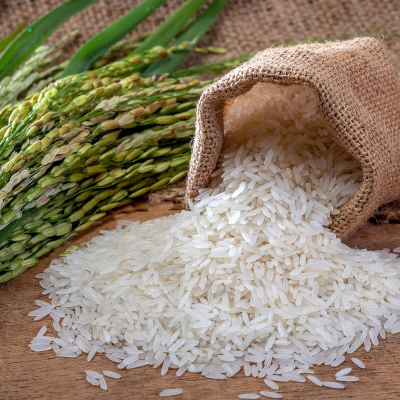 Rice